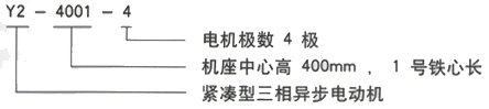 YR系列(H355-1000)高压YRKK6303-4/2000KW三相异步电机西安西玛电机型号说明